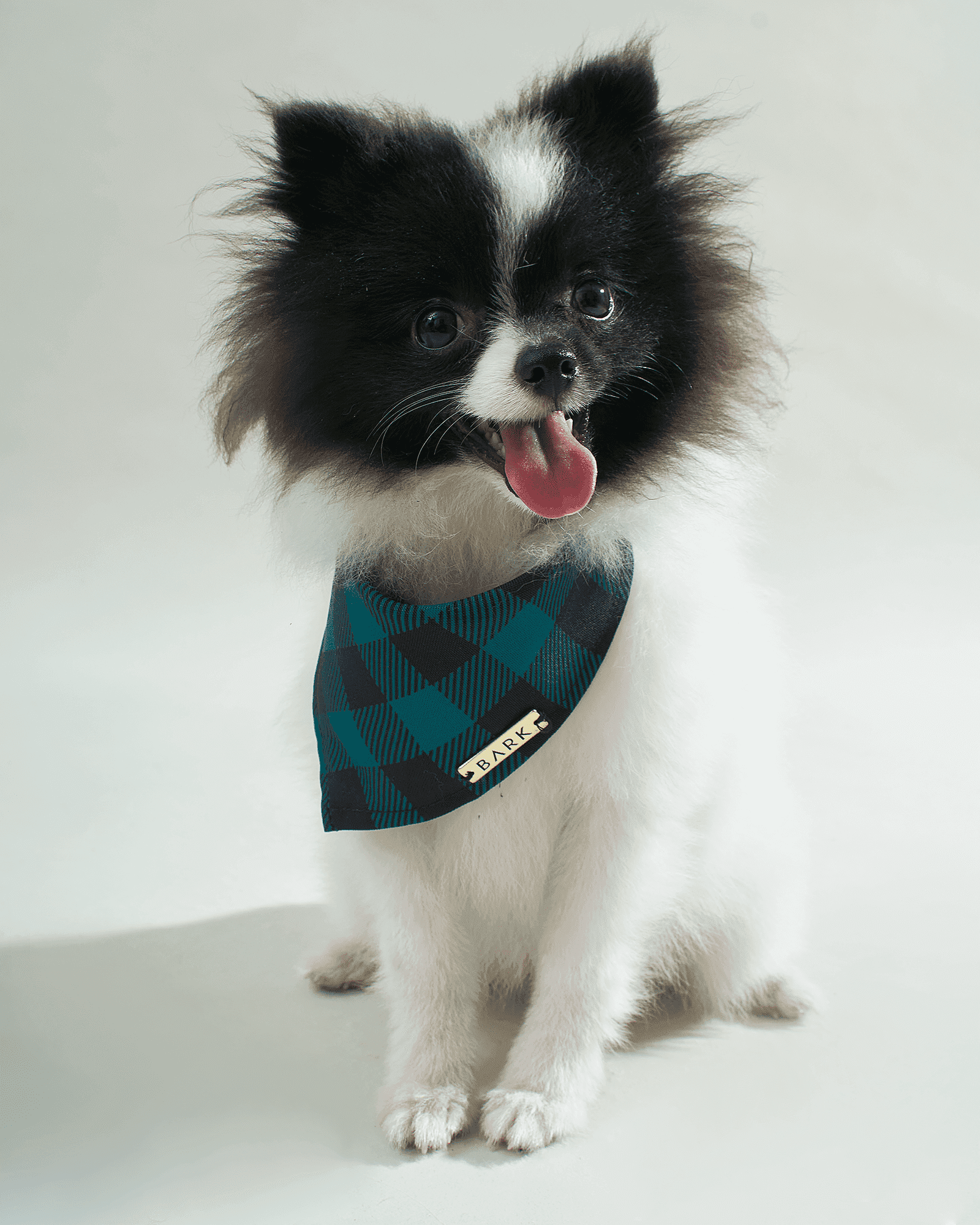 Bandanas