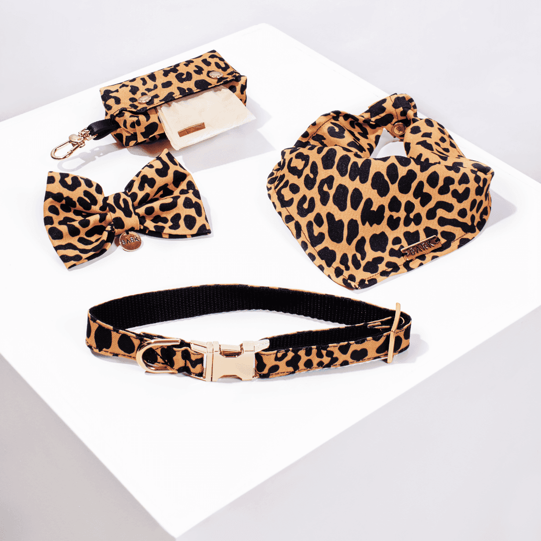 SET LEOPARD