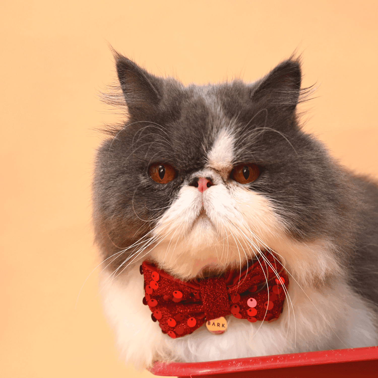SPARKLE BOW TIE