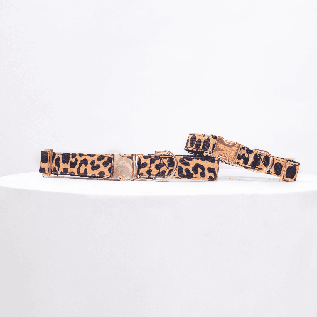 COLLAR LEOPARD
