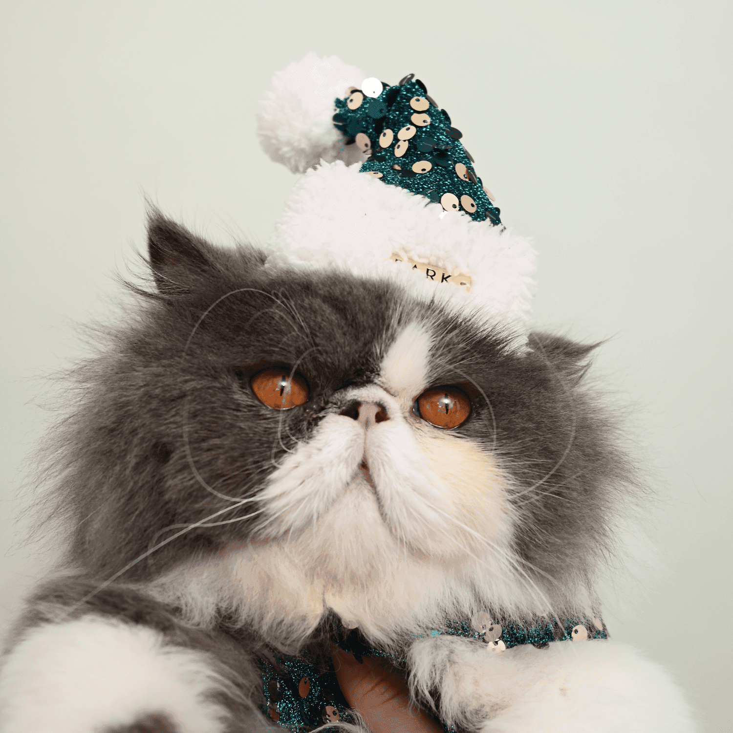CHRISTMAS HAT