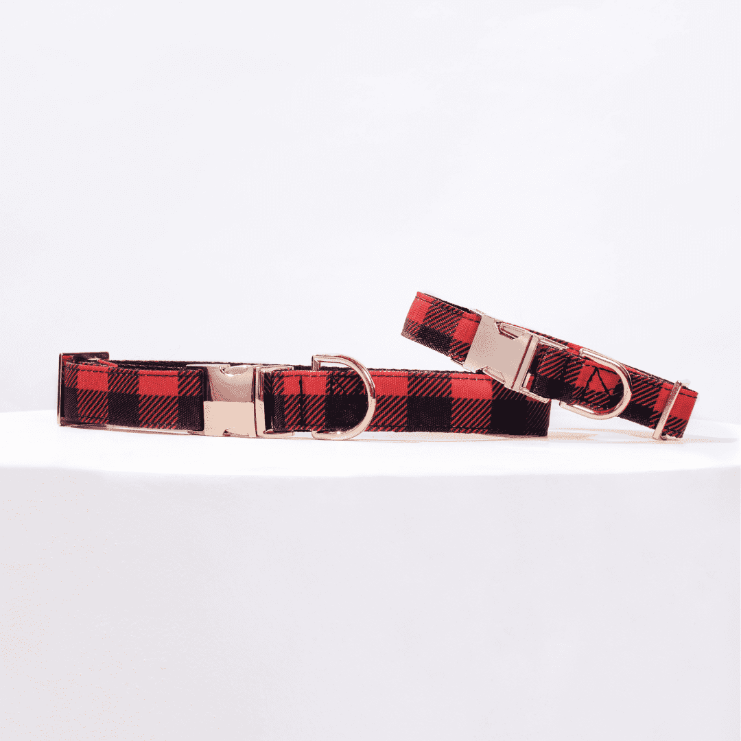 COLLAR RED SCOTTISH