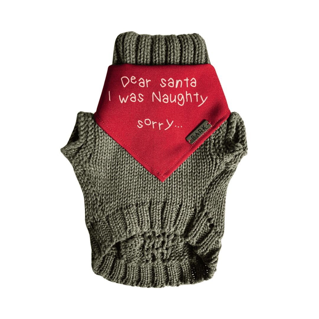 SET SUETER DEAR SANTA