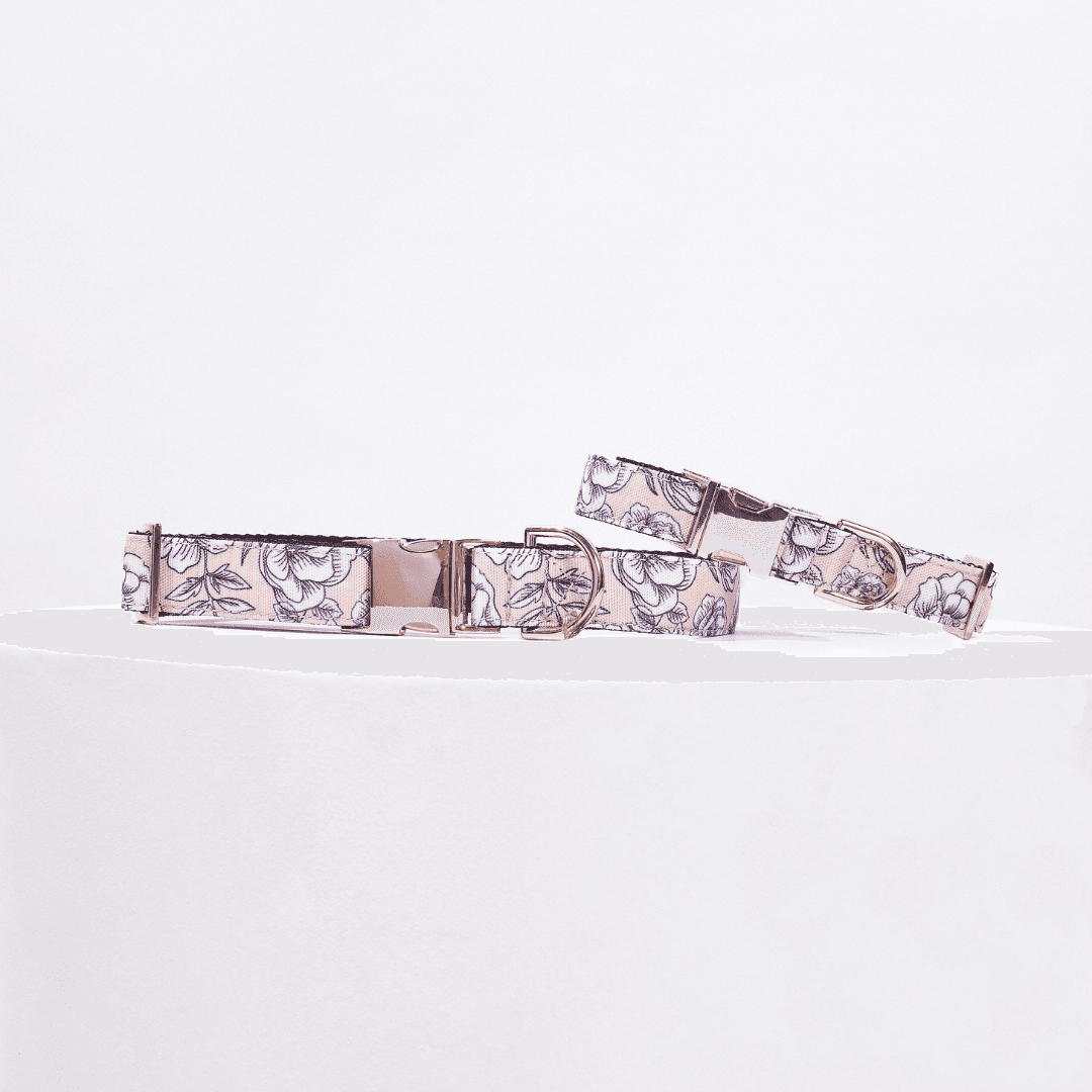 COLLAR WHITE ROSES