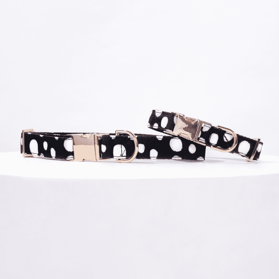 COLLAR POLKA DOTS