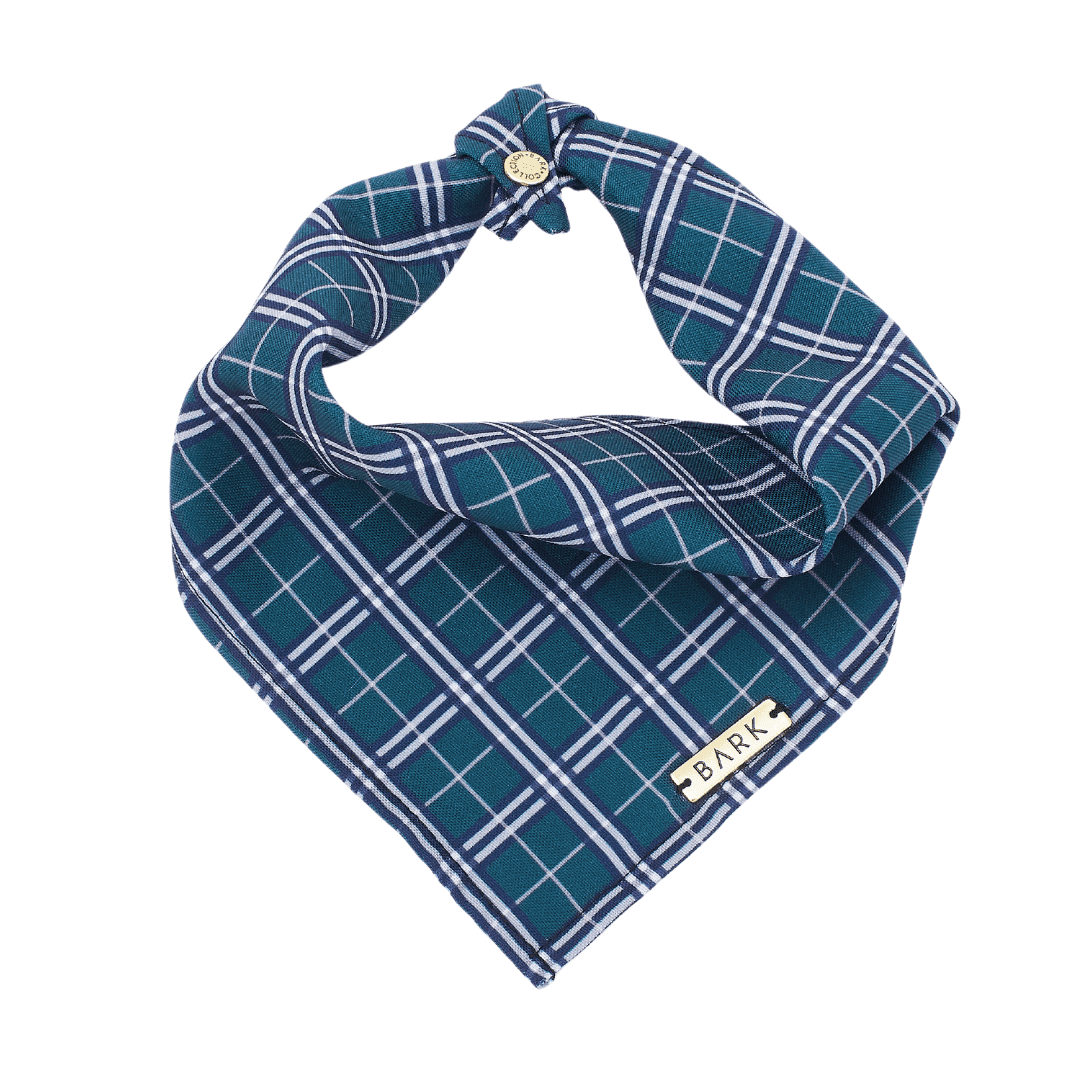 BANDANA GREEN PLAID