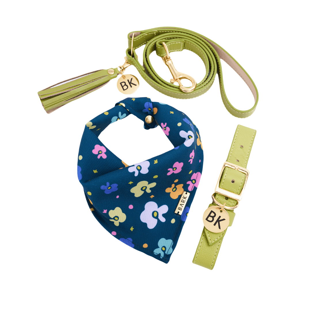 SET LIME SPRING FLOWERS