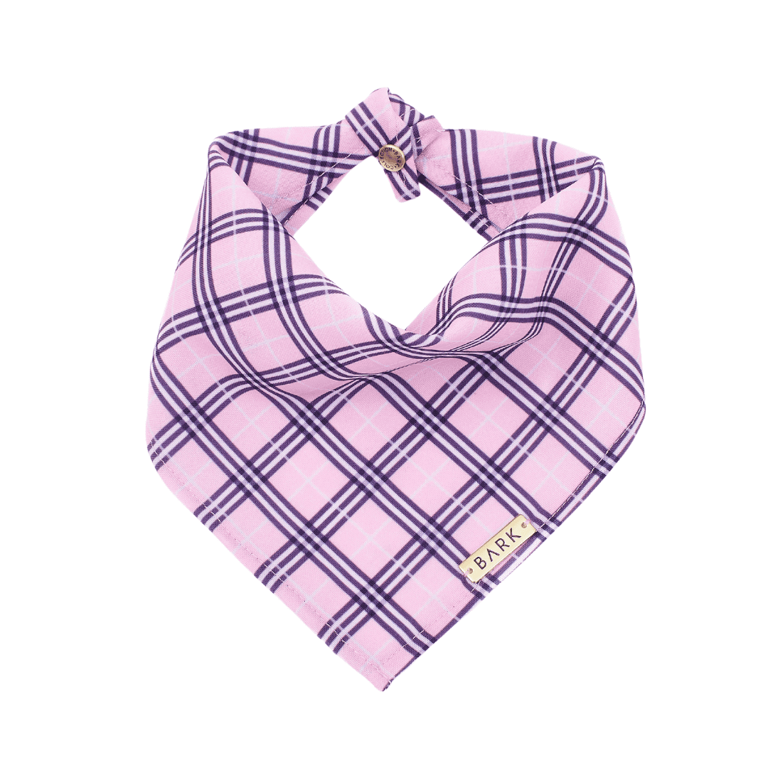 BANDANA PINK PLAID