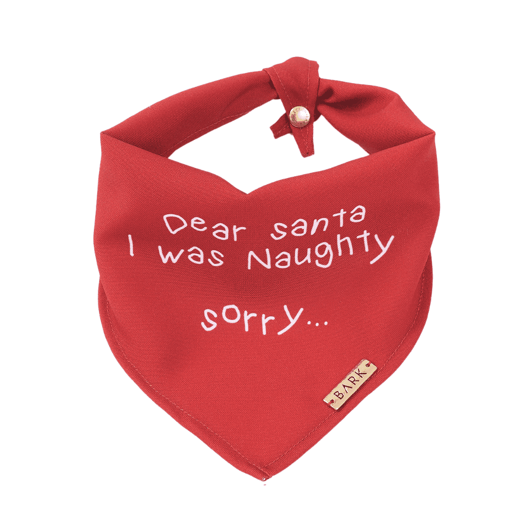 BANDANA DEAR SANTA