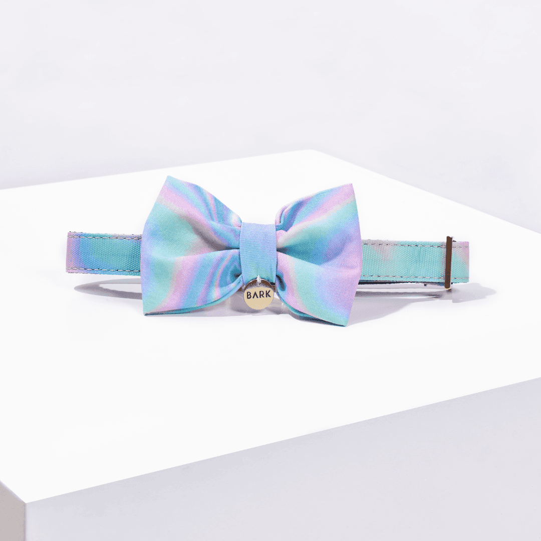 SET COLLAR + CORBATIN UNICORN DUST