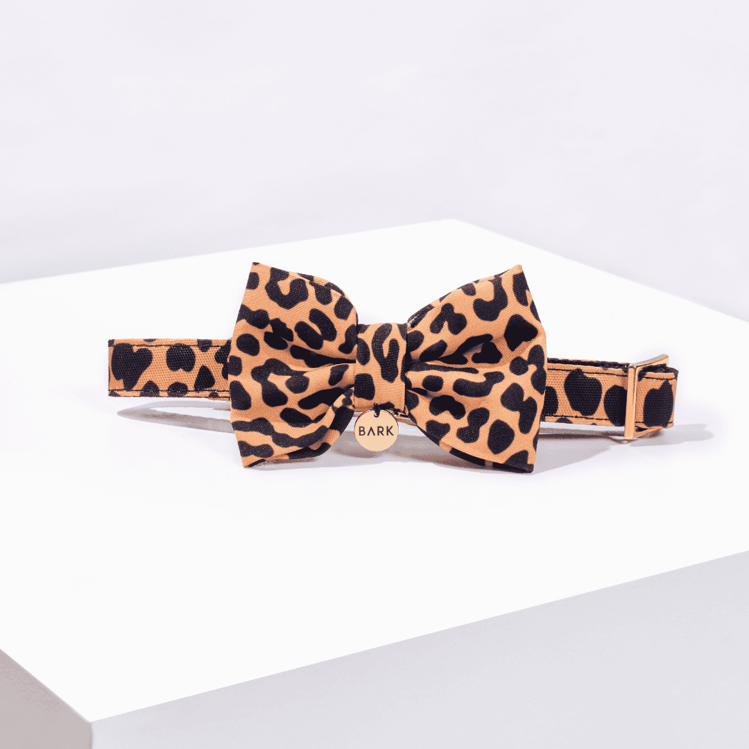 SET COLLAR + CORBATIN LEOPARD