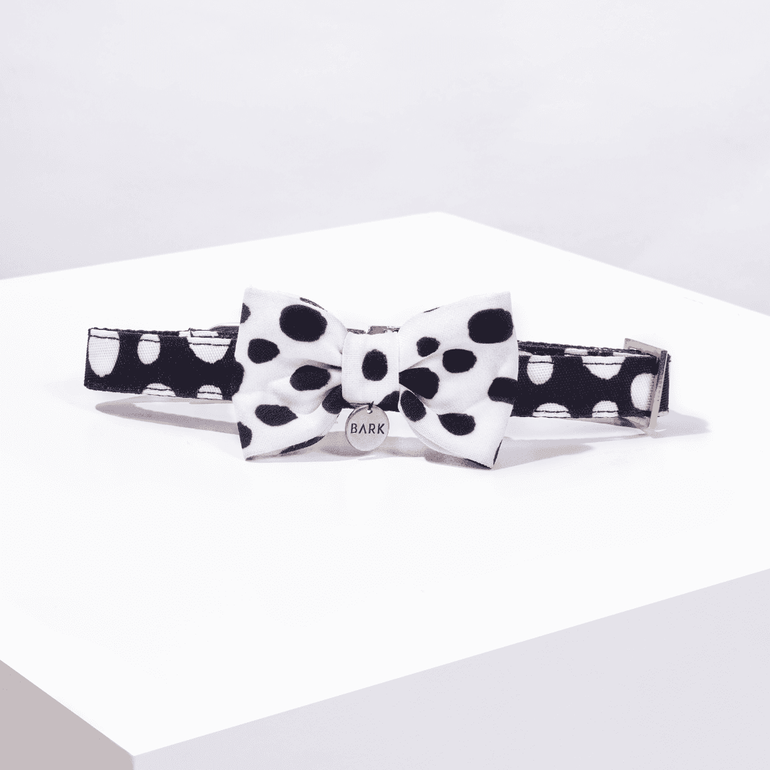 SET COLLAR + CORBATIN POLKA DOTS
