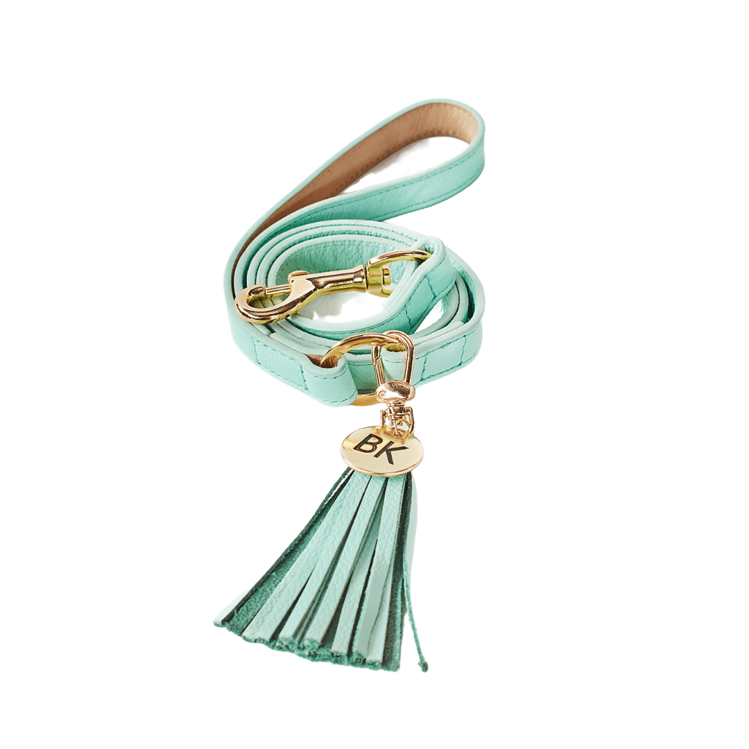 CORREA MINT GREEN