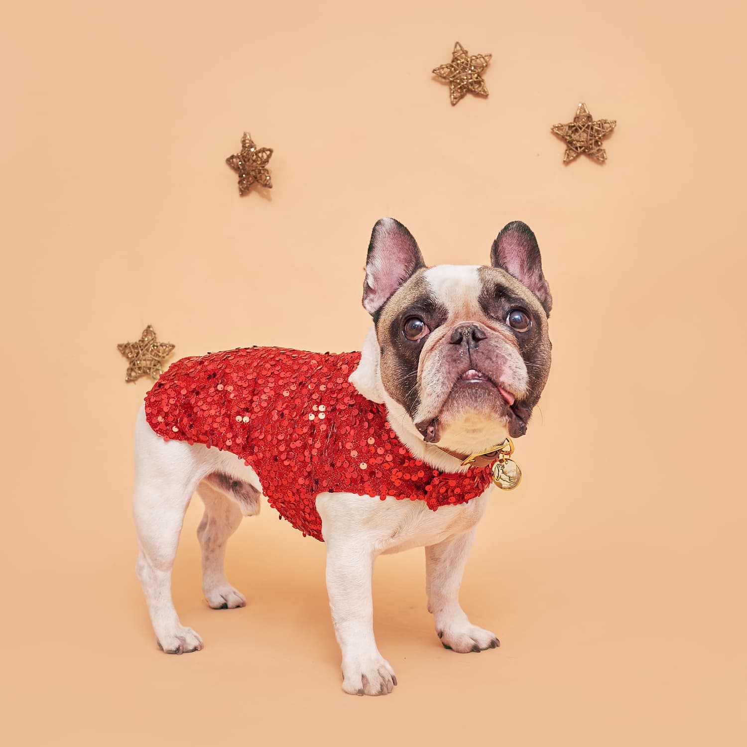 CHRISTMAS SPARKLE VEST