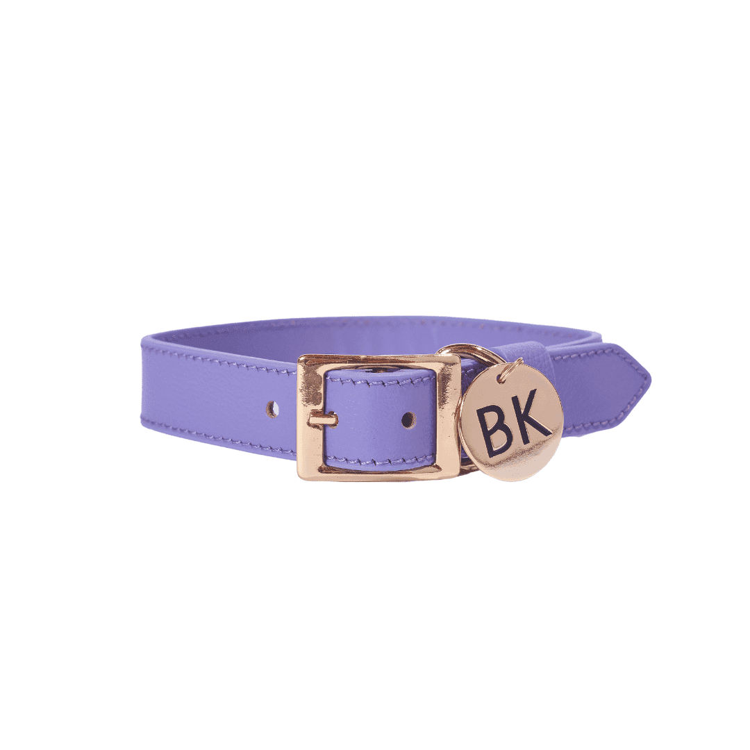 COLLAR BLUEBERRY PURPLE