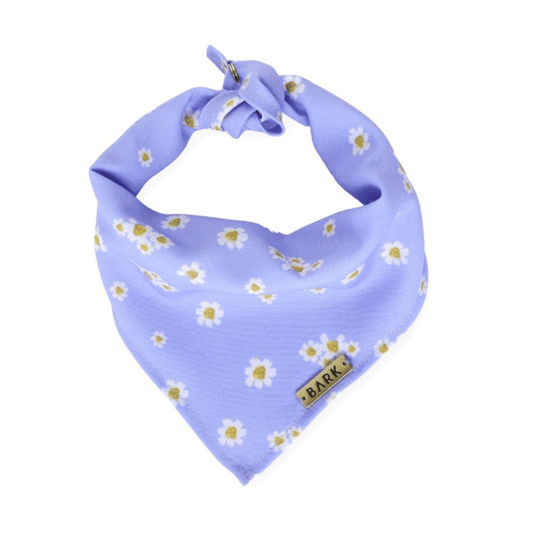 BANDANA PURPLE DAISIES