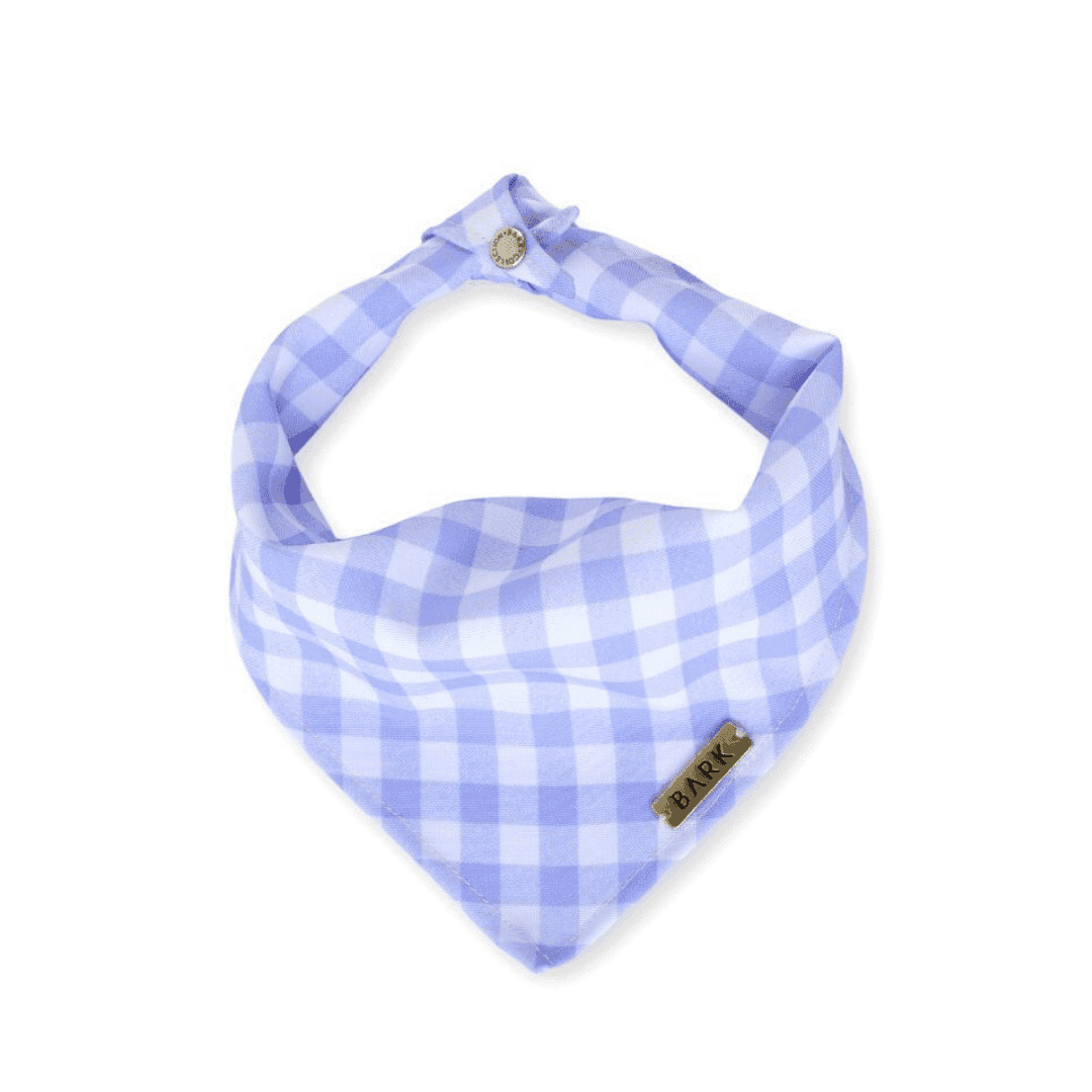 BANDANA PURPLE PICNIC