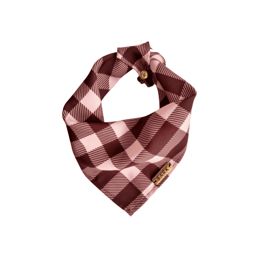 BANDANA PINK SCOTTISH
