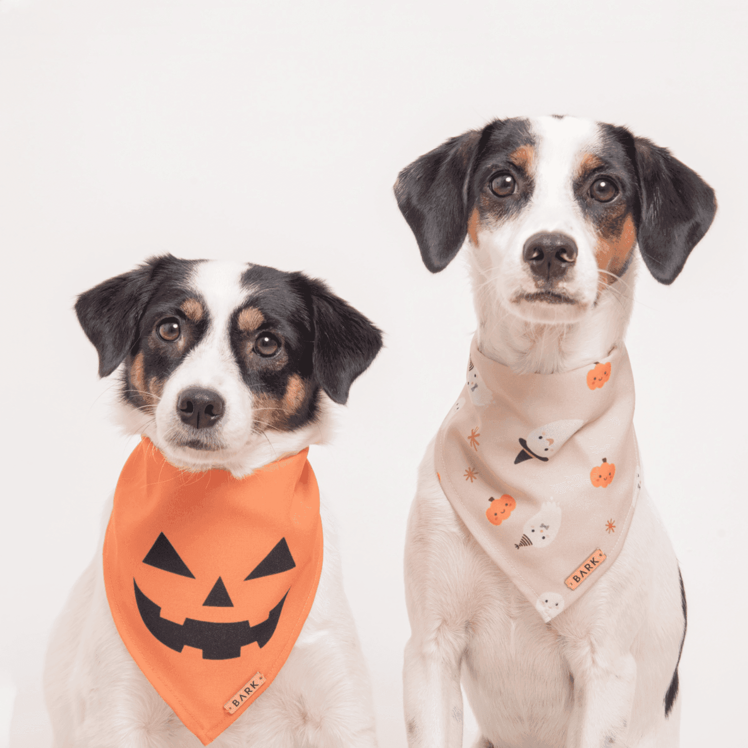 KIT DIAMANTE HALLOWEEN