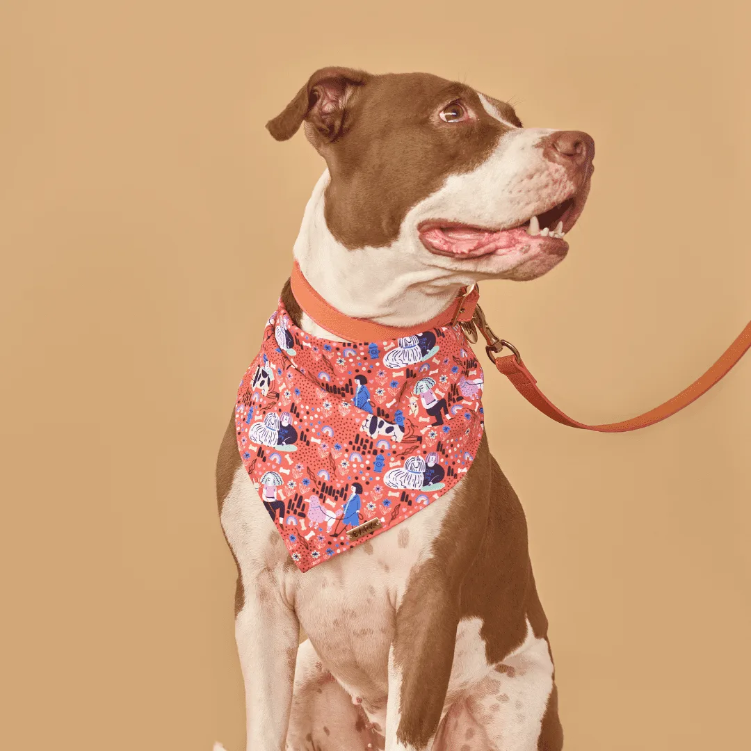 COLLAR PINK CORAL - Imagen 2