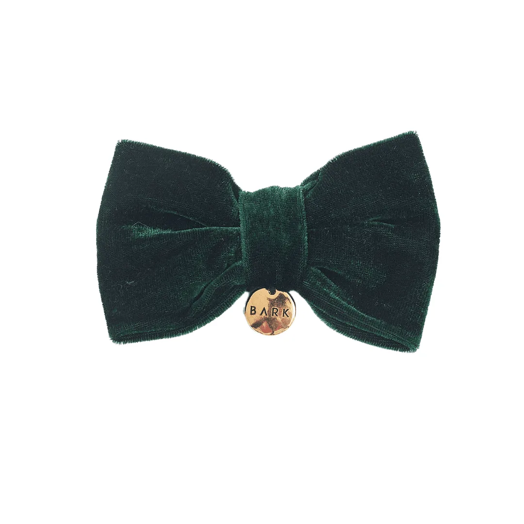 CORBATIN GREEN VELVET