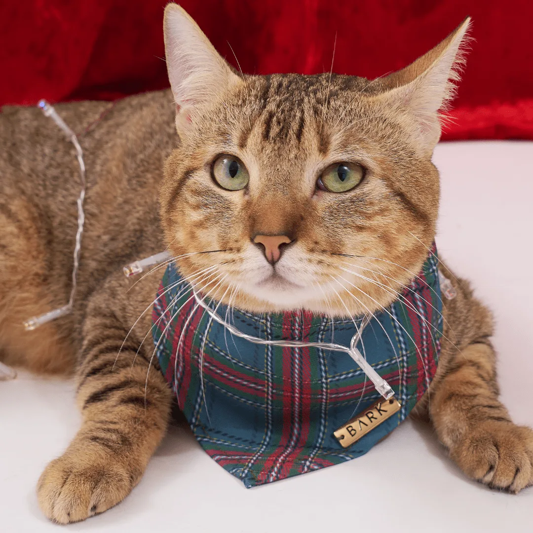 BANDANA GREEN CHRISTMAS TARTAN - Imagen 4