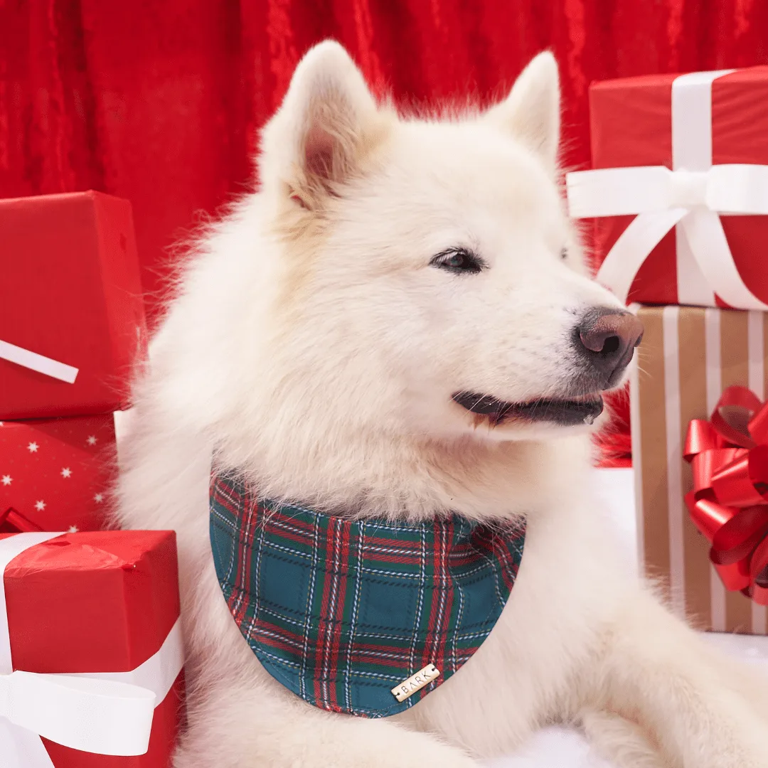 BANDANA GREEN CHRISTMAS TARTAN - Imagen 2