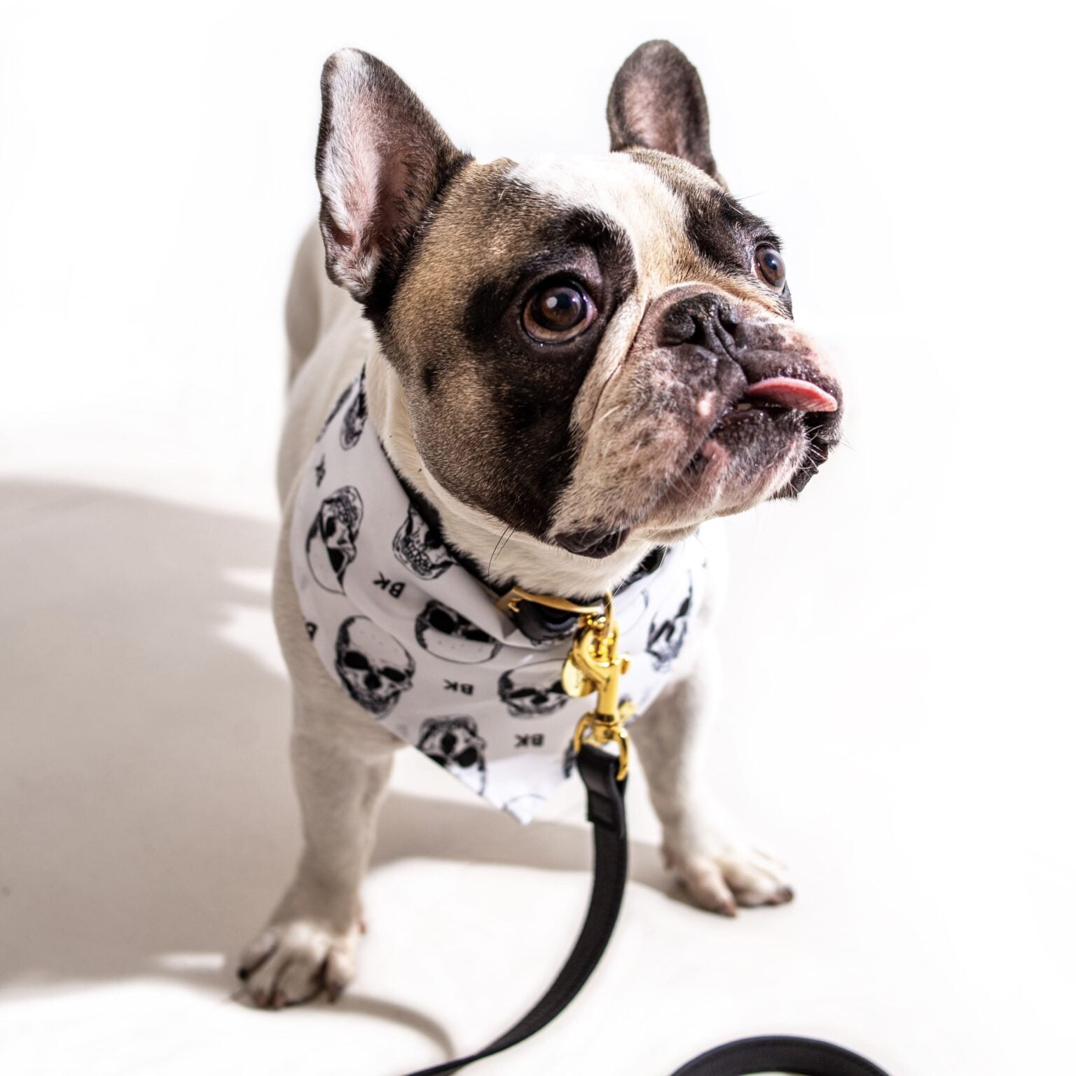 BANDANA WHITE SKULLS - Imagen 2