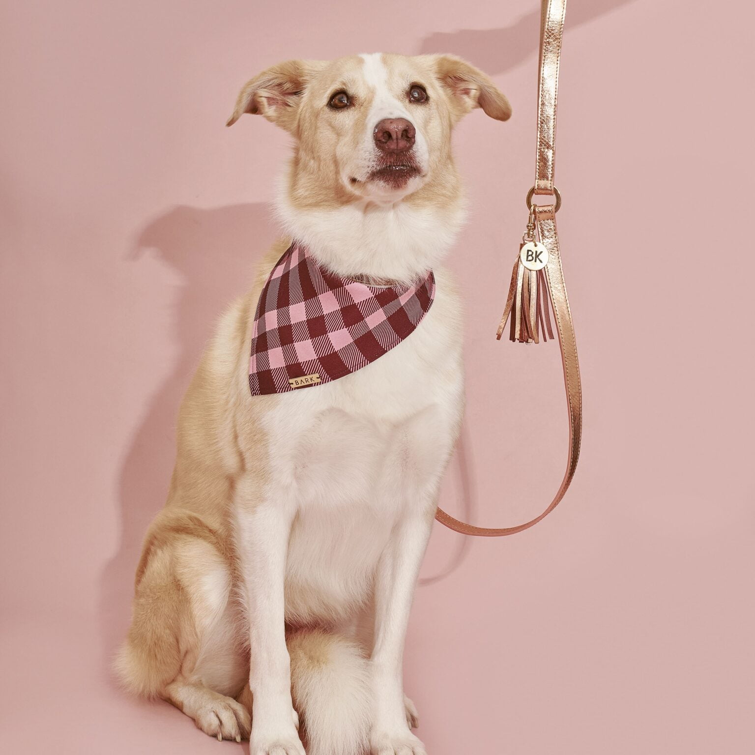BANDANA PINK SCOTTISH - Imagen 3
