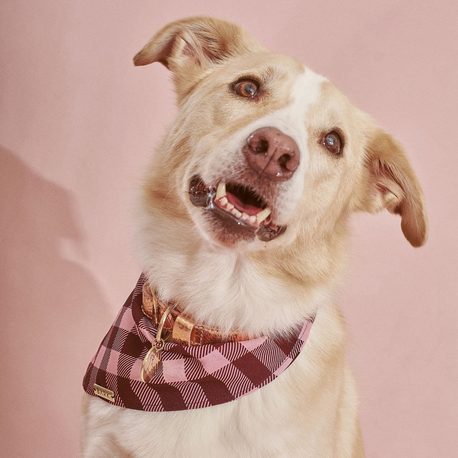 BANDANA PINK SCOTTISH - Imagen 2